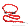 Bungee dog leash low minimum order quantity